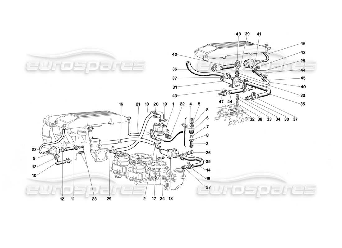 Ferrari Testarossa (1987) Sistema de inyección de combustible: válvulas y líneas Diagrama de piezas