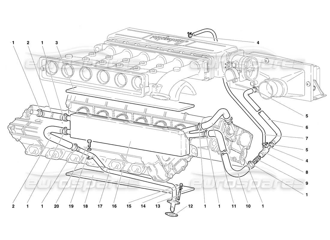 Lamborghini Diablo SE30 (1995) Sistema de respiración de aceite del motor Diagrama de piezas