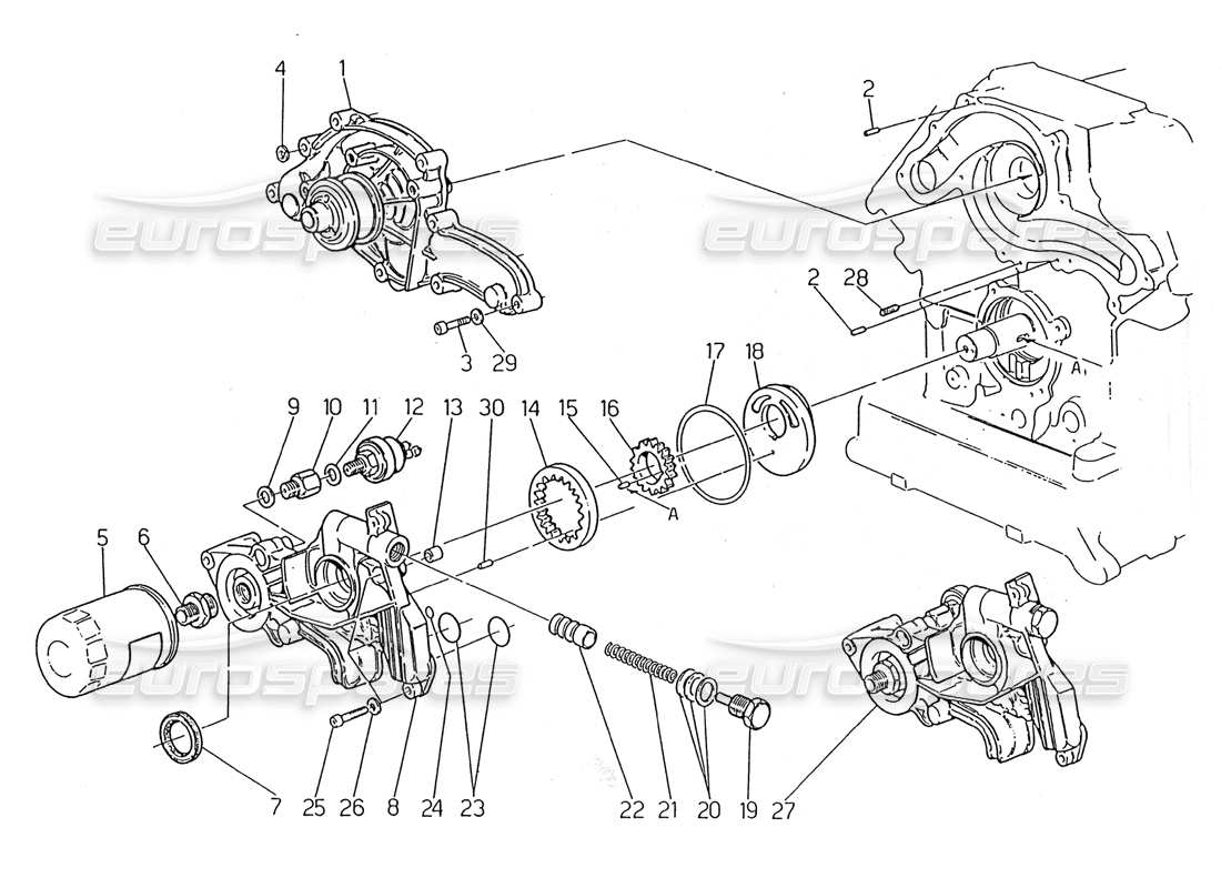 maserati 2.24v bomba de agua - diagrama de piezas de la bomba de aceite