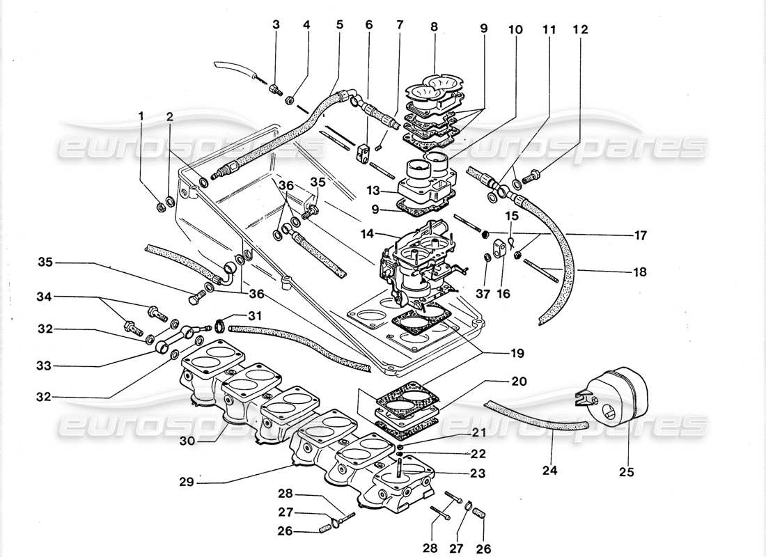 lamborghini lm002 (1988) diagrama de piezas de carburadores