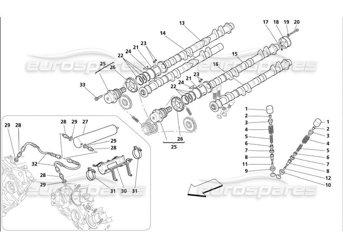 maserati 4200 coupe (2005) distribución: diagrama de piezas de los taqués