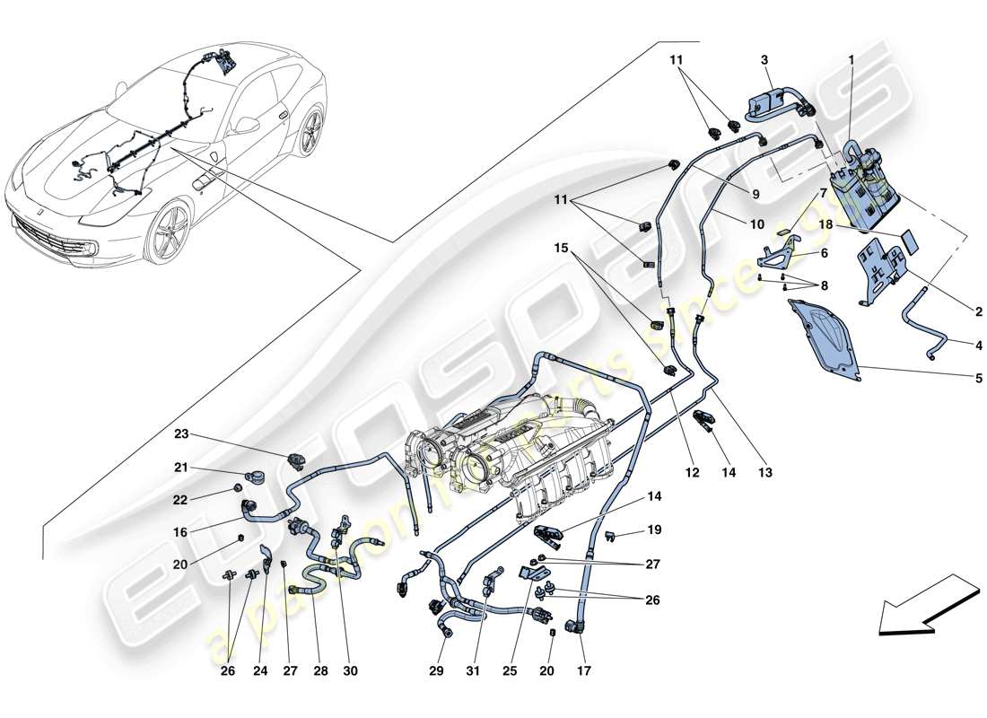 ferrari gtc4 lusso t (rhd) sistema de control de emisiones evaporativas diagrama de piezas