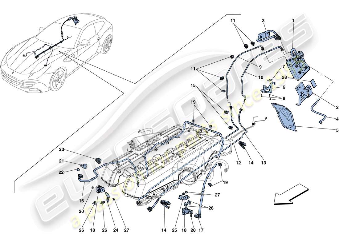 ferrari ff (rhd) diagrama de piezas del sistema de control de emisiones evaporativas