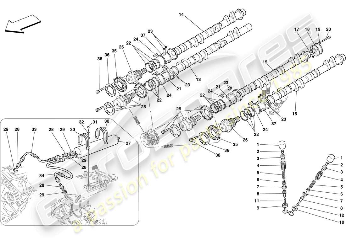 ferrari f430 coupe (europe) sistema de distribución - taqués diagrama de piezas