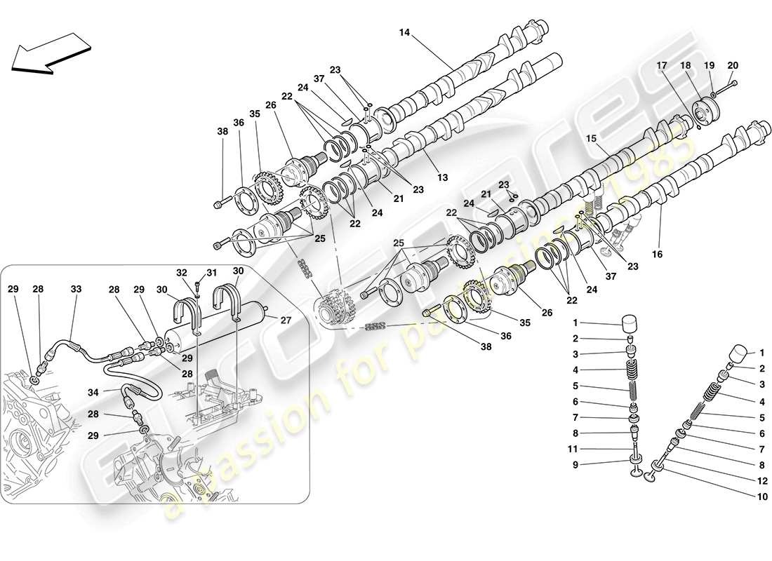 ferrari f430 coupe (usa) sistema de distribución - taqués diagrama de piezas