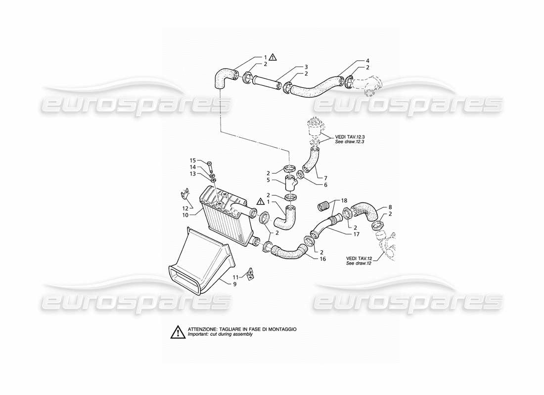 maserati qtp v6 (1996) diagrama de piezas del lado derecho de las tuberías del intercambiador de calor