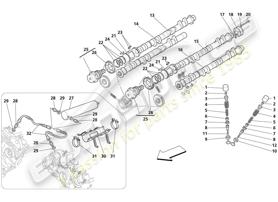 maserati trofeo distribución: diagrama de piezas de los taqués