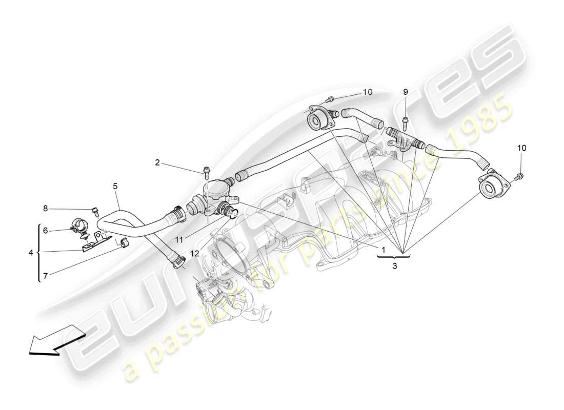 maserati levante tributo (2021) diagrama de piezas del sistema de recirculación de vapores de aceite