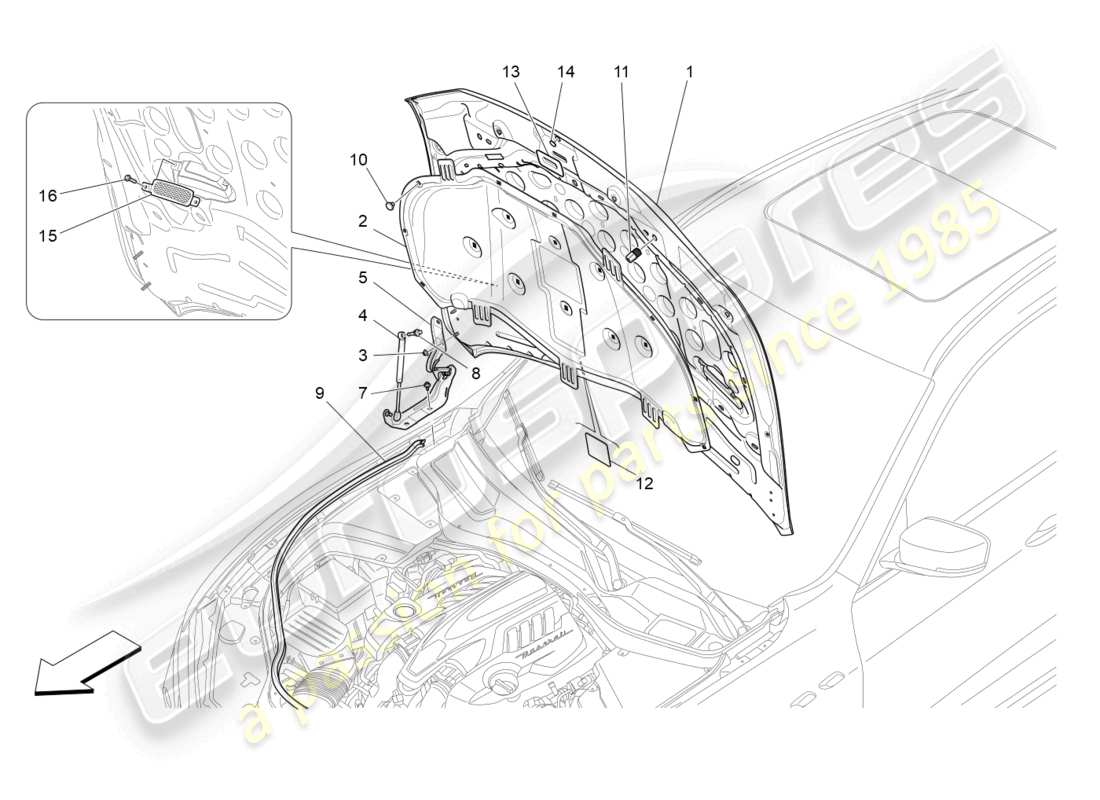 maserati levante trofeo (2020) tapa delantera diagrama de piezas