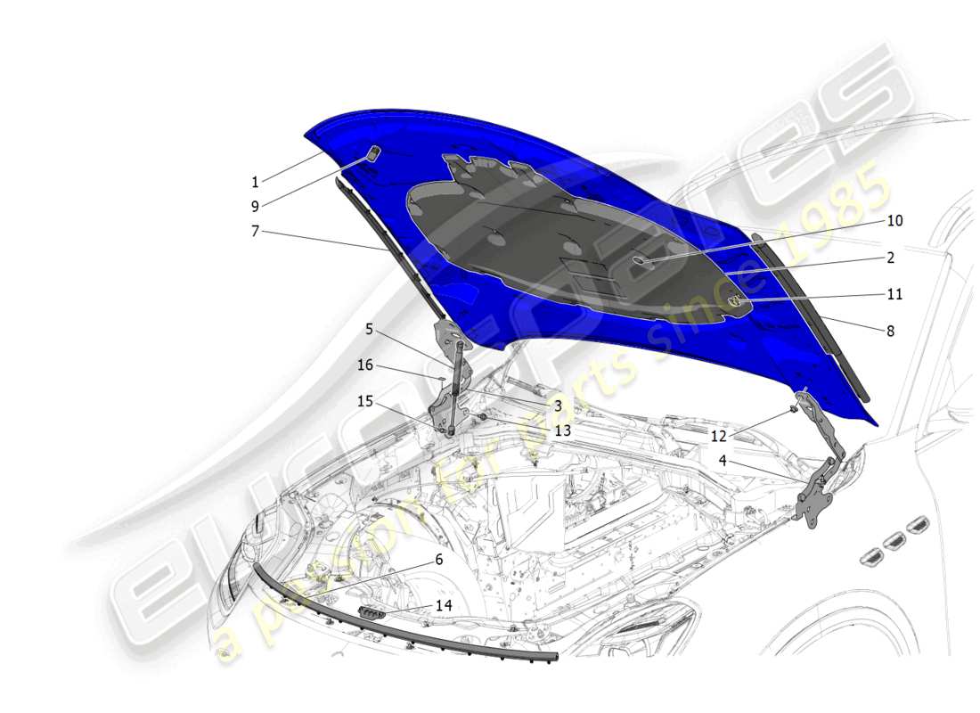 maserati grecale trofeo (2023) tapa delantera diagrama de piezas
