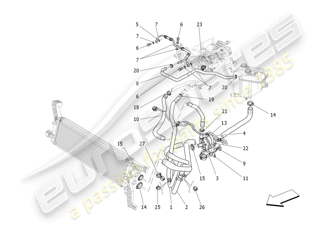 maserati levante trofeo (2020) sistema de refrigeración: diagrama de piezas de nourice y líneas