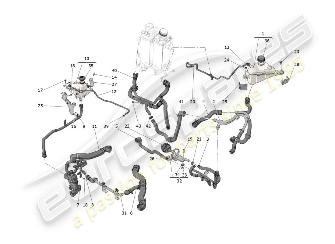 maserati grecale trofeo (2023) sistema de refrigeración: diagrama de piezas de nourice y líneas