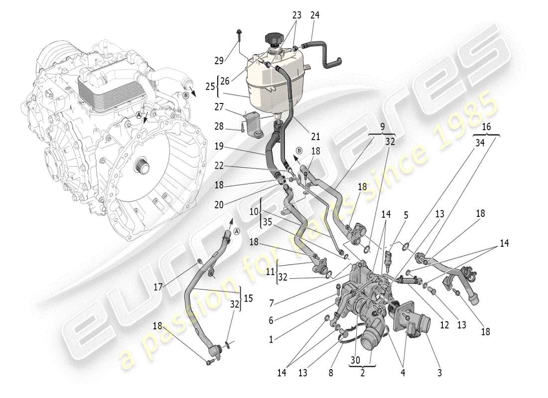 maserati mc20 (2024) sistema de refrigeración: diagrama de piezas de nourice y líneas