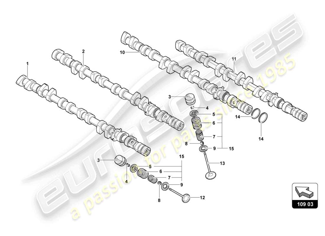 lamborghini ultimae (2022) árbol de levas, válvulas diagrama de piezas