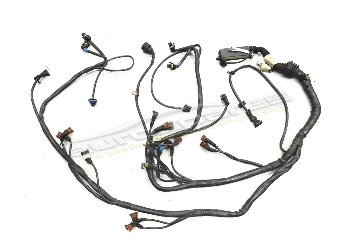 cables de inyección del motor rh/lh ferrari usados. número de parte 168496 (1)