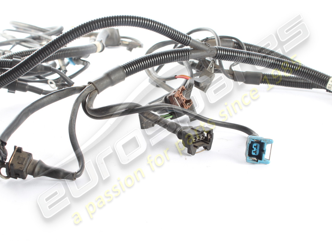 cables de motor ferrari usados. número de parte 123658 (4)