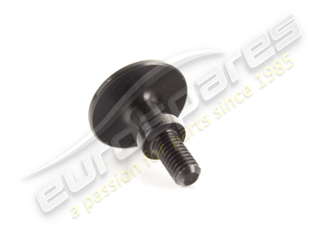 nuevo tornillo ferrari. número de parte 67509600 (2)