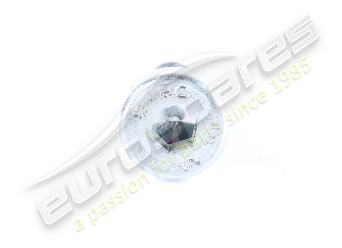 nuevo tornillo ferrari. número de parte 40294308 (2)