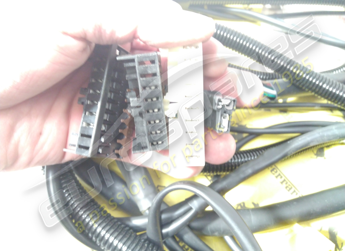 cable delantero ferrari usado. número de parte 172955 (2)