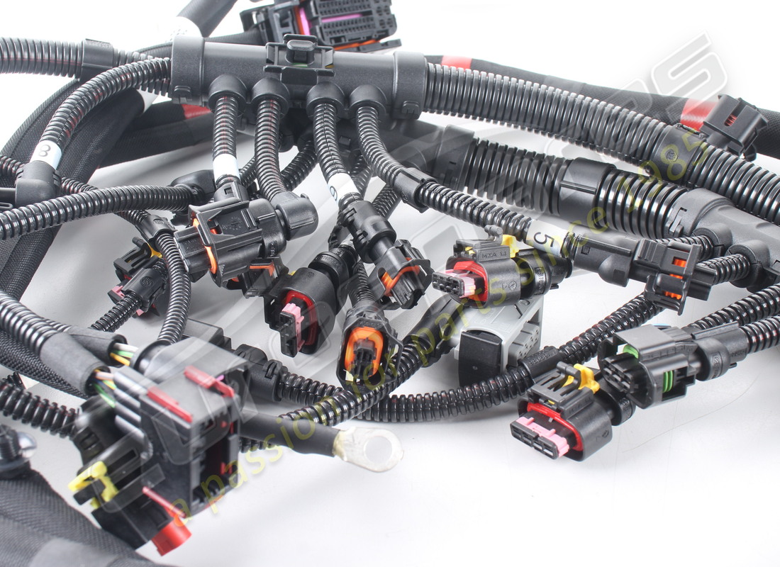 nuevo ferrari cable de inyección del motor izquierdo. número de pieza 251899 (4)