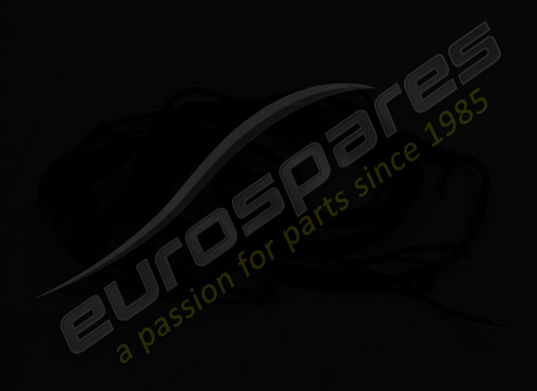 CABLES DE CONEXIÓN USADOS FERRARI PARA LH EN. NÚMERO DE PIEZA 200842 (2) cables de conexión usados ferrari para lh en. número de pieza 200842 (2)