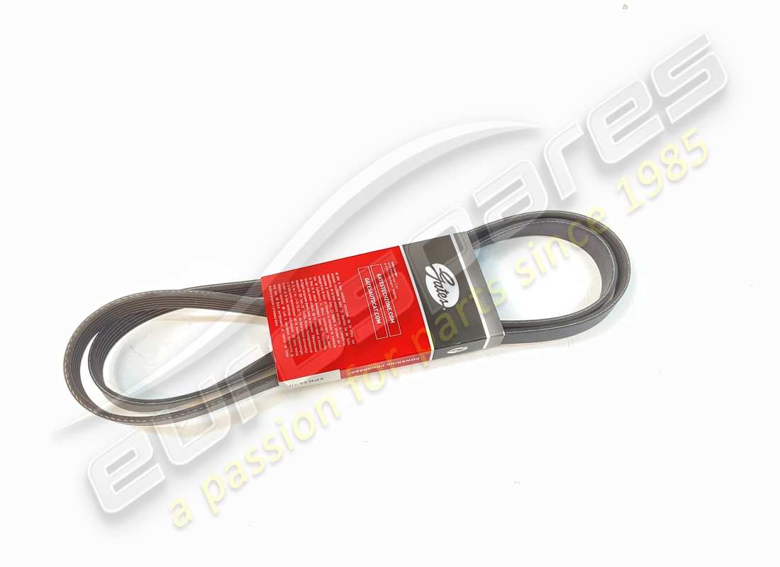 NUEVA CORREA Eurospares (ALTERNADOR/COMPRESOR) . NÚMERO DE PARTE 97965 (1)