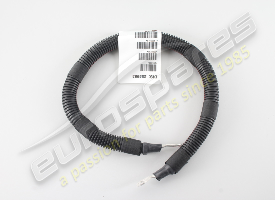 cable de puesta a tierra del chasis nuevo ferrari. número de pieza 255982 (1)