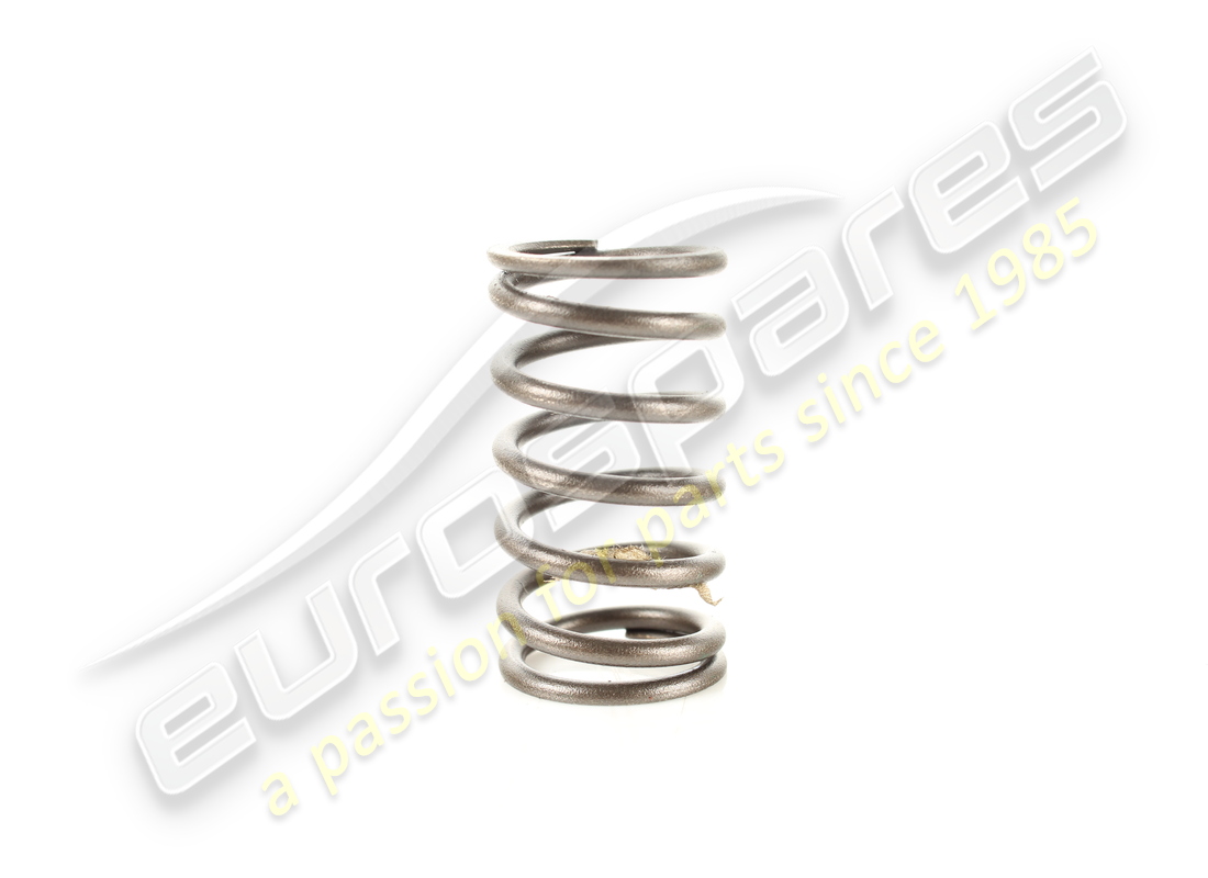 resorte de válvula exterior usado ferrari. número de pieza 167386 (2)