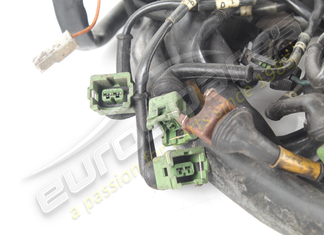 cableado de inyección de motor usado lamborghini. número de pieza 006132502 (3)
