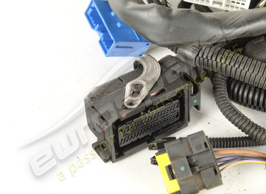 ferrari cables usados. número de parte 184955 (2)