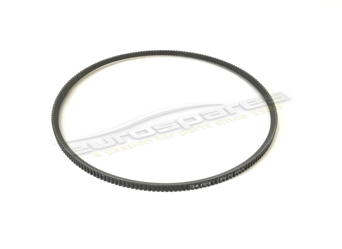 nuevo ferrari cinturón polyflex. número de parte 111285 (1)