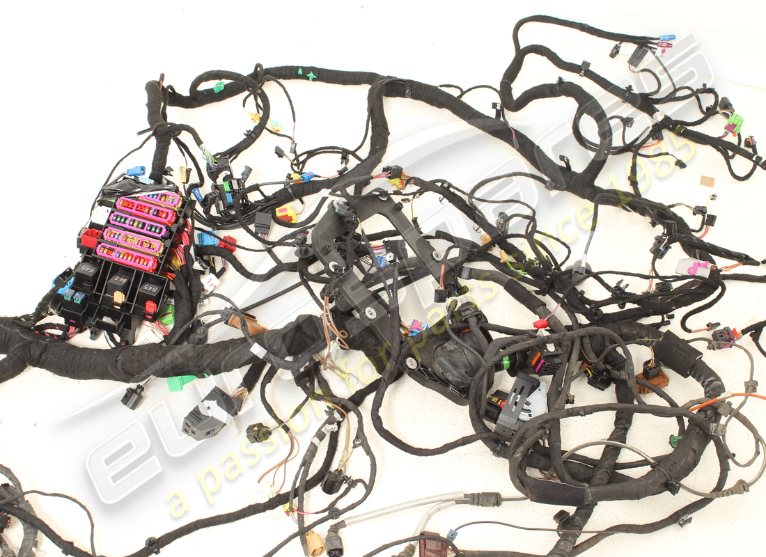 arnés de cableado usado lamborghini. número de pieza 4mm974088 (11)