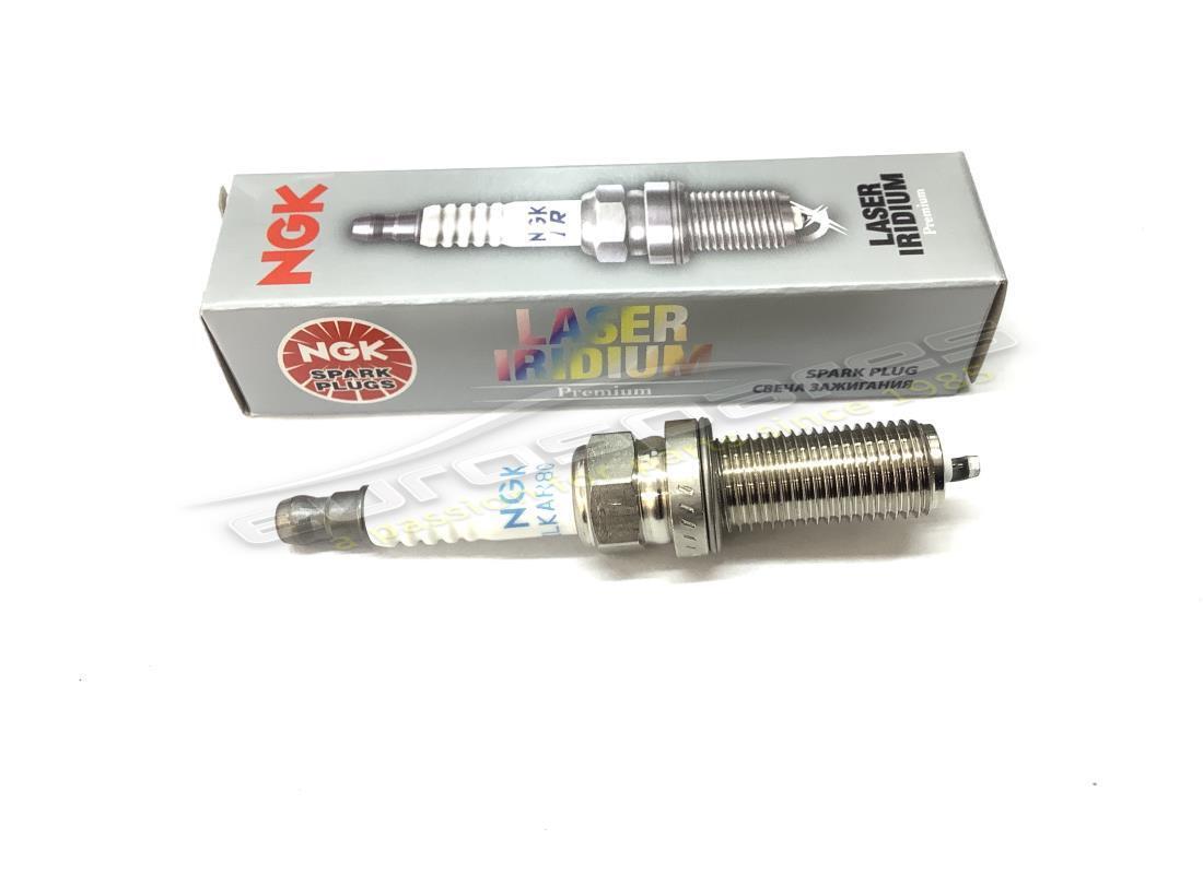 nueva bujía eurospares (ngk). número de parte 310235 (1)