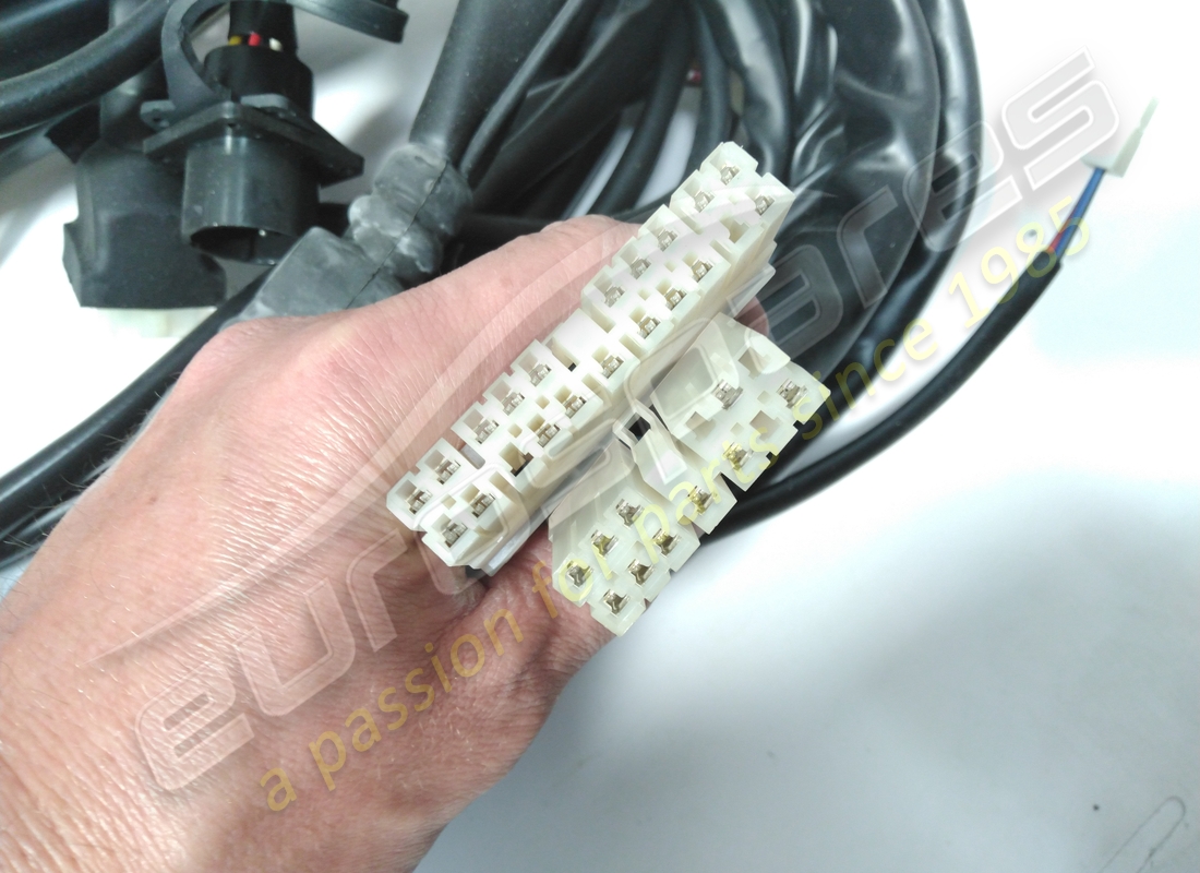 nuevo cable trasero ferrari. número de parte 61803500 (2)