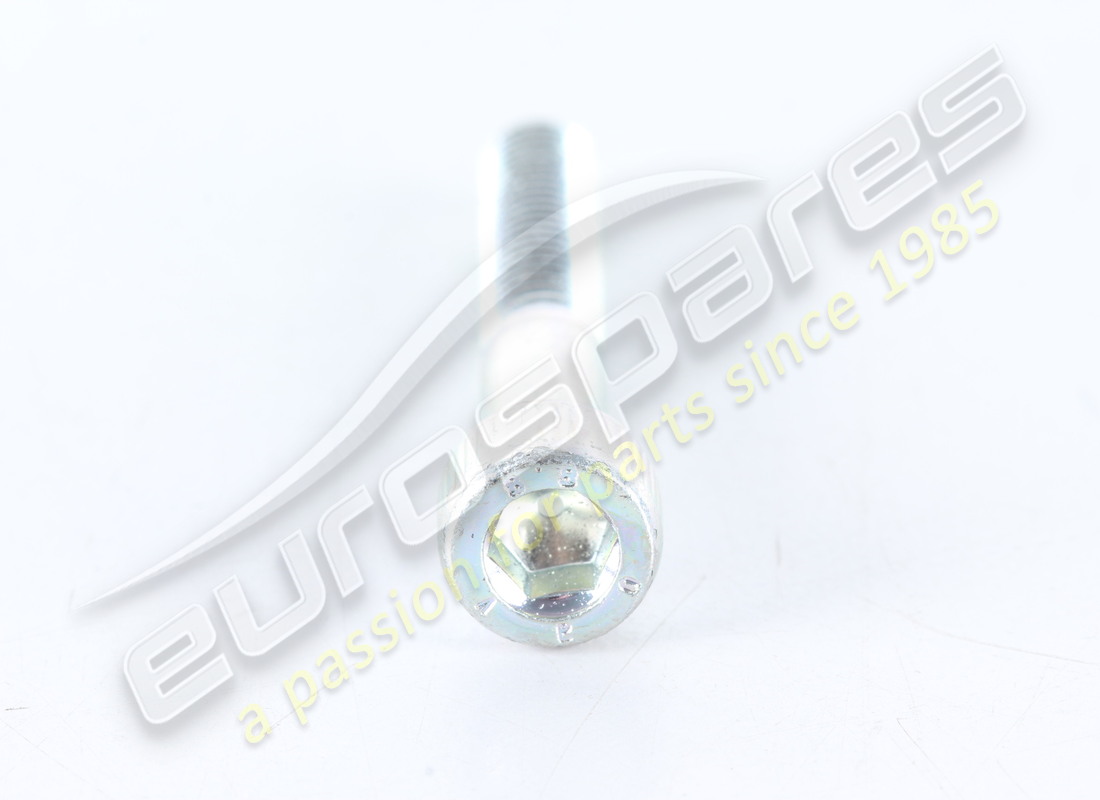 nuevo tornillo ferrari. número de parte 14305821 (2)