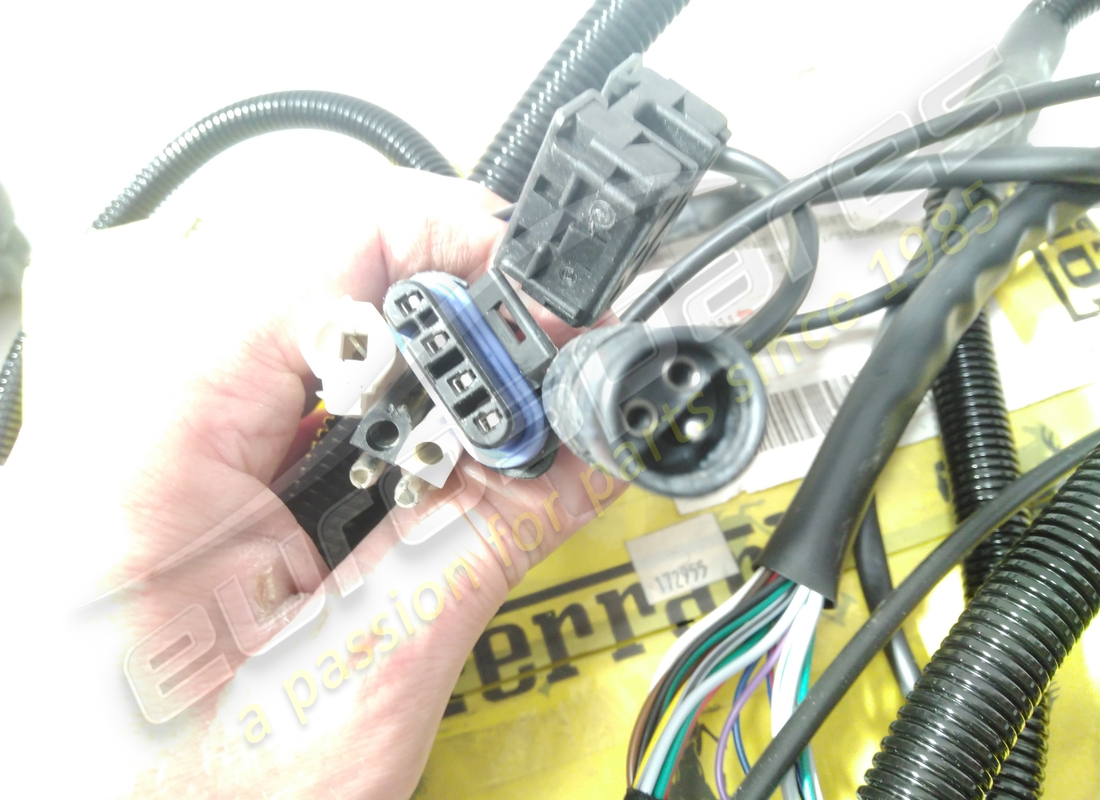 cable delantero ferrari usado. número de parte 172955 (3)
