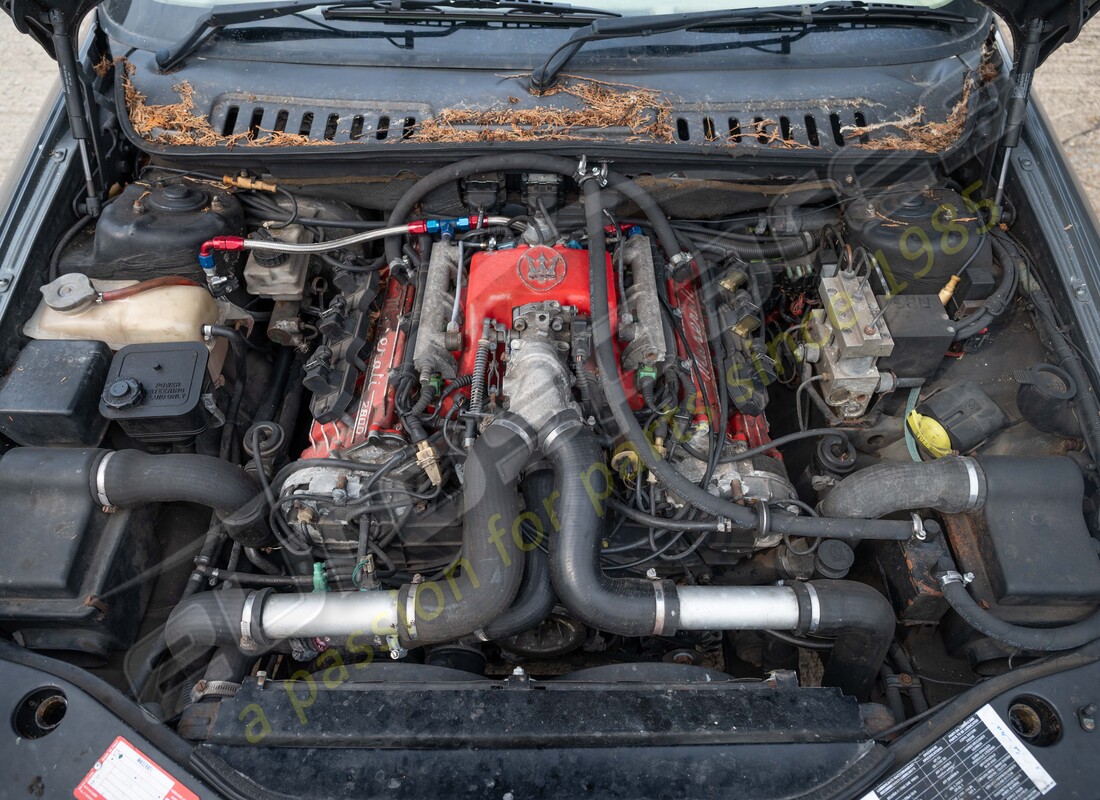maserati qtp v6 (1996) con 85382 millas, preparándose para el desmantelamiento #23
