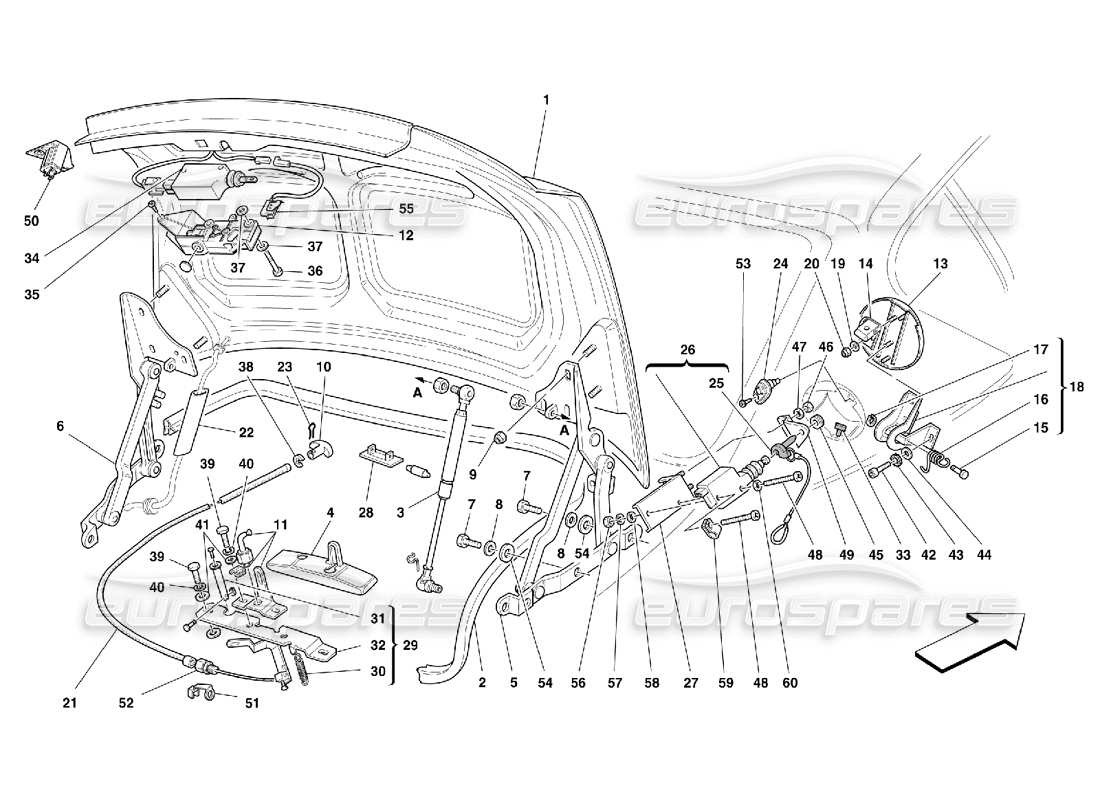 ferrari 456 m gt/m gta diagrama de piezas del capó del maletero y la cubierta de gasolina