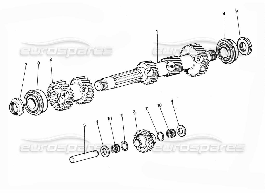 ferrari 365 gtc4 (mechanical) engranajes primarios diagrama de piezas