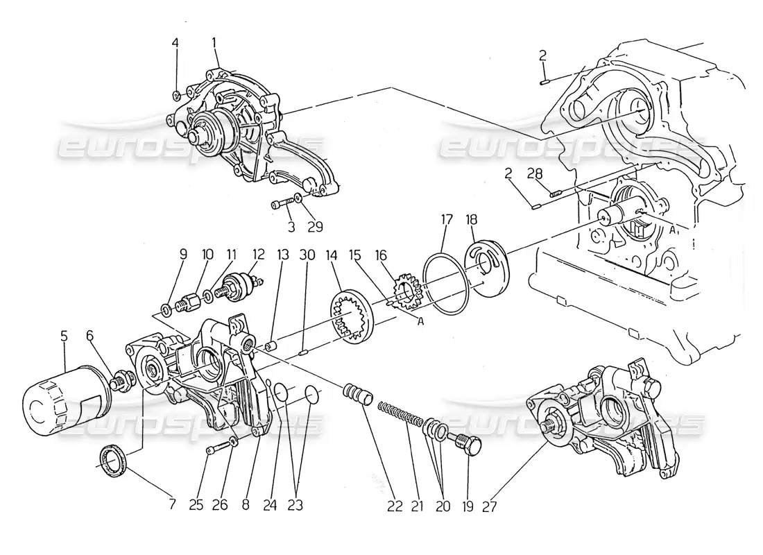 maserati 2.24v water pump - oil pump diagrama de piezas