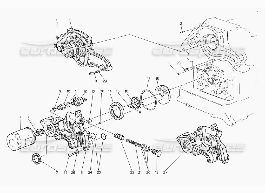 maserati 228 water pump - oil pump diagrama de piezas