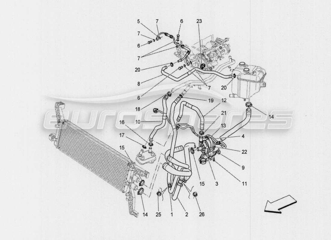 maserati qtp. v8 3.8 530bhp auto 2015 sistema de refrigeración: diagrama de piezas de nourice y líneas