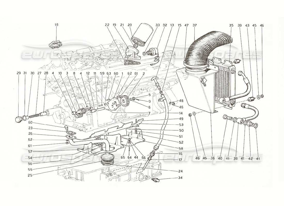 ferrari 308 gt4 dino (1976) sistema de lubricación diagrama de piezas