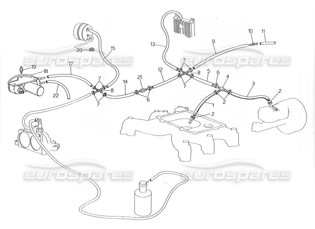 maserati 228 diagrama de piezas del sistema de evaporación (dirección izquierda con sonda lambda)