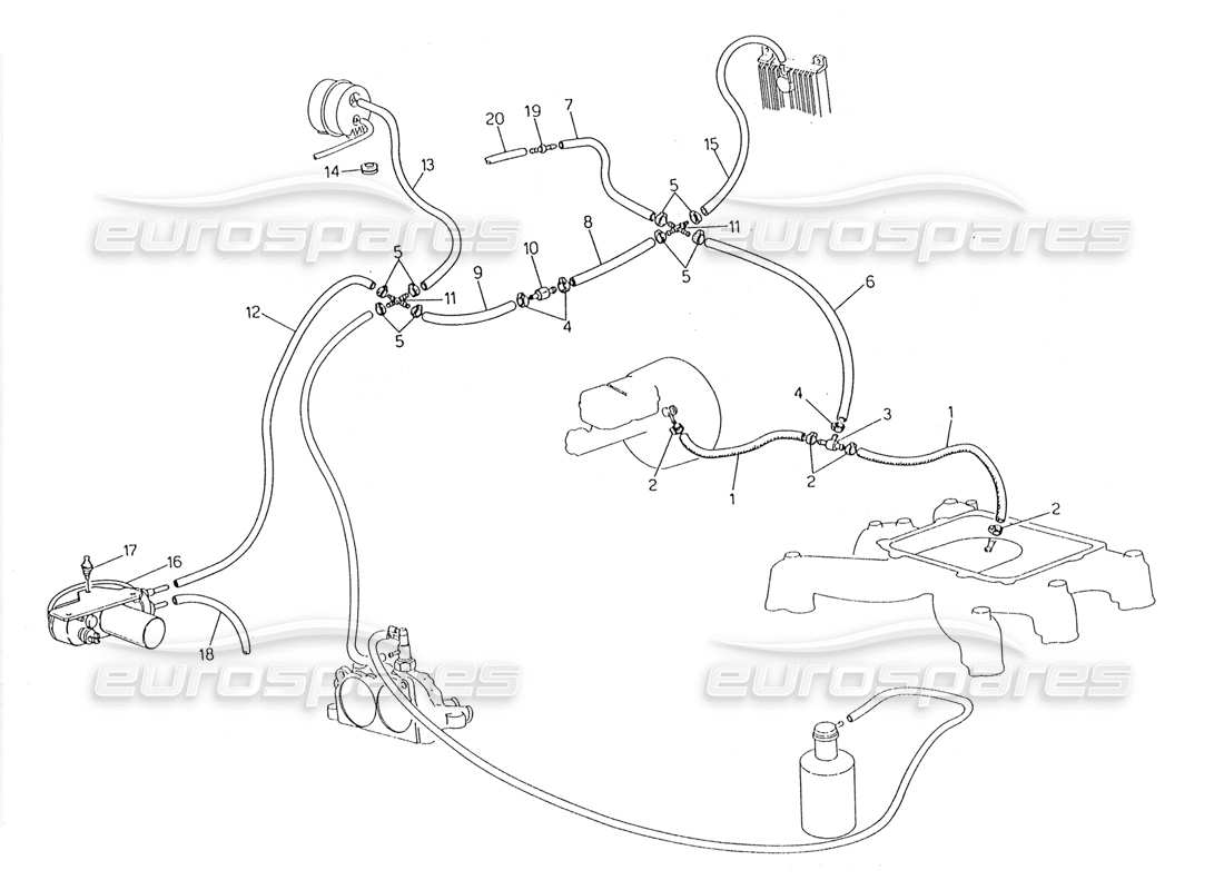 diagrama de piezas de maserati 228 sistema de evaporación (dirección derecha con sonda lambda)