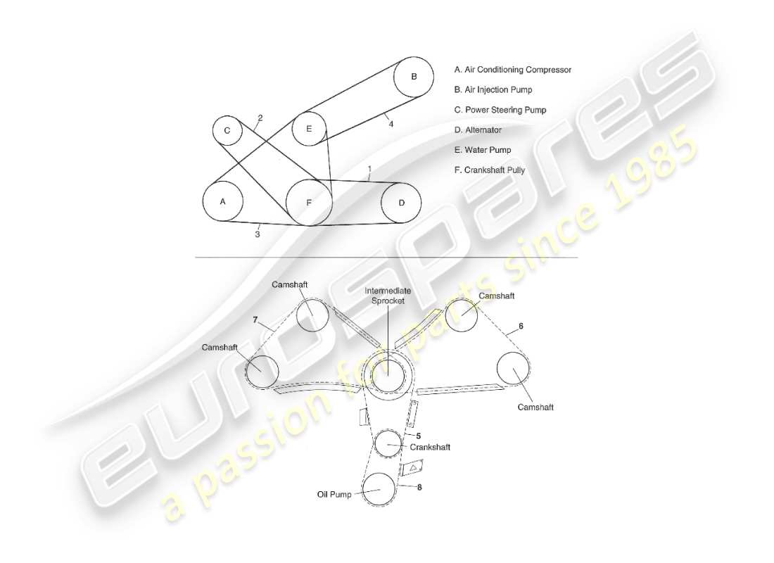 aston martin v8 virage (1999) diagrama de piezas de correas y cadenas