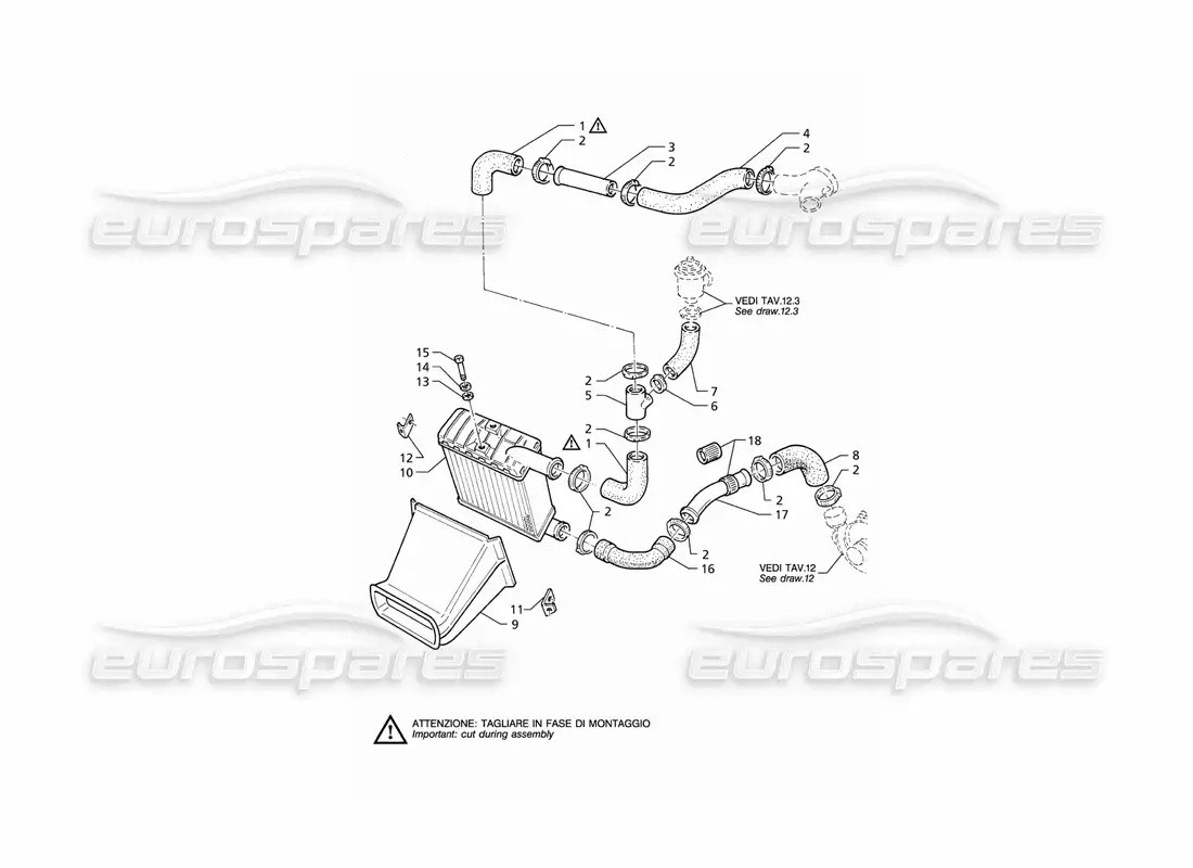 maserati qtp v6 (1996) diagrama de piezas del lado derecho de las tuberías del intercambiador de calor