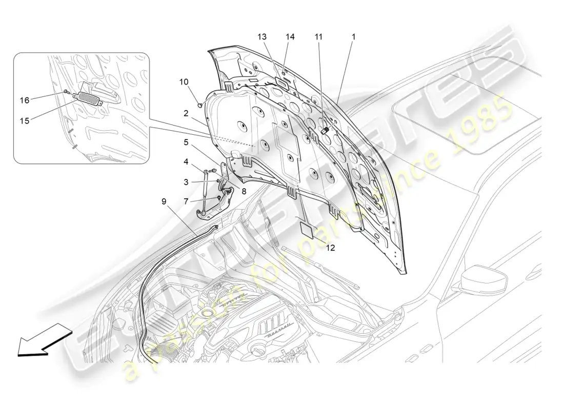 maserati levante trofeo (2020) tapa delantera diagrama de piezas