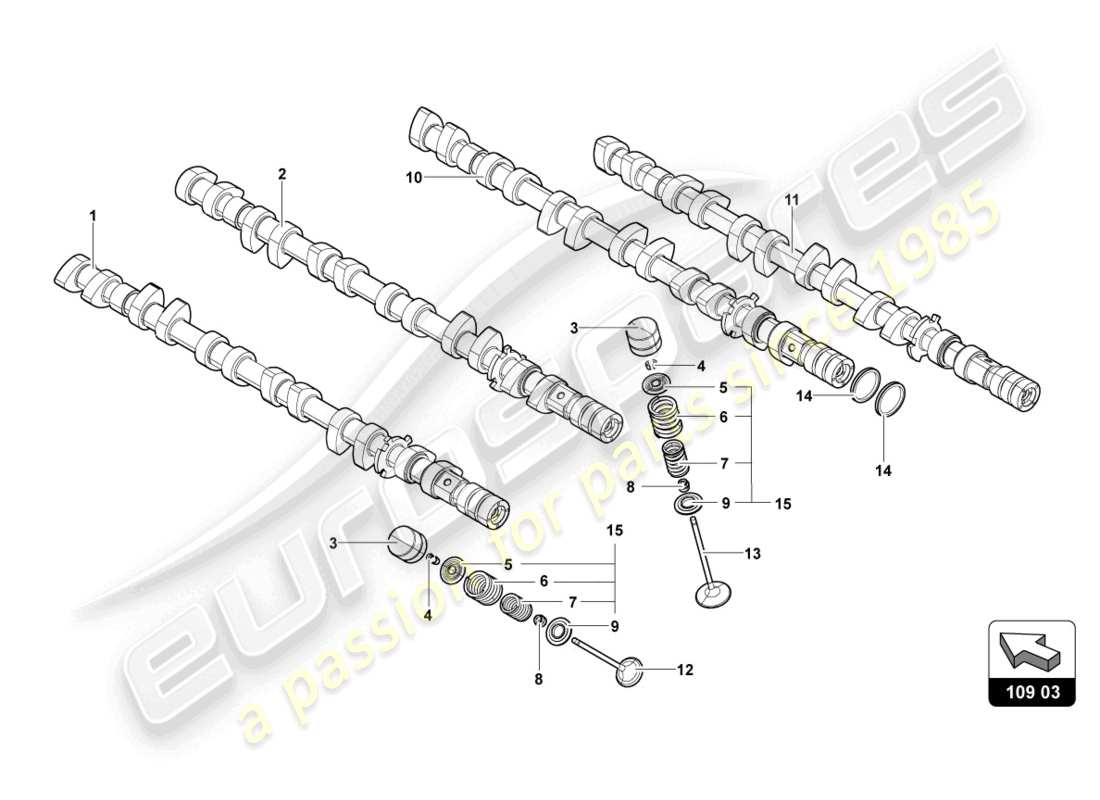 lamborghini 2014 (lp700-4 roadster) árbol de levas, válvulas diagrama de piezas
