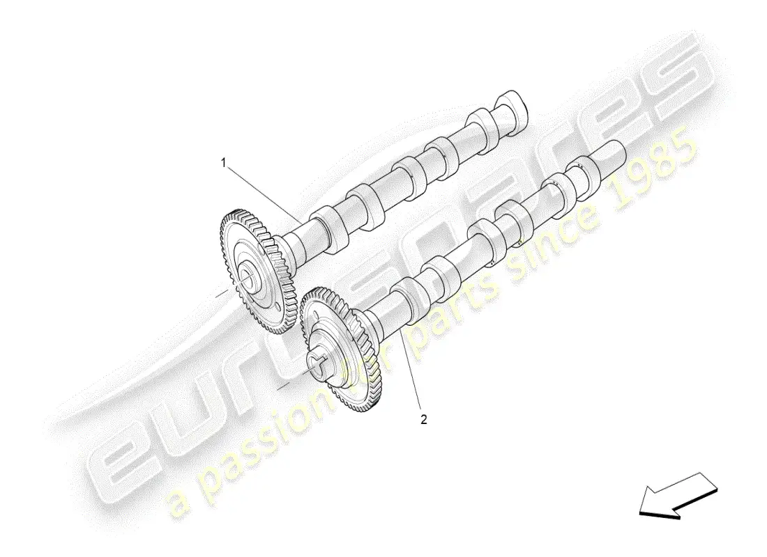 maserati ghibli (2019) diagrama de piezas de los árboles de levas de la culata izquierda